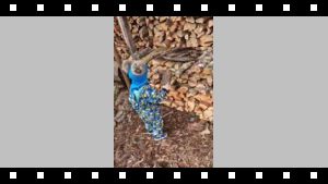 2024 Lennard laob puid_01.mp4